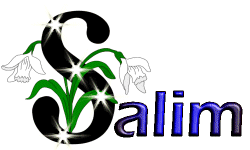 salim
